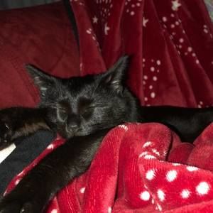 Meet your Posher, Holly